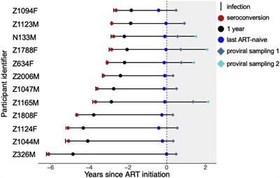 Proviral Turnover During Untreated HIV Infection Is Dynamic and Variable Between Hosts, Impacting Reservoir Composition on ART